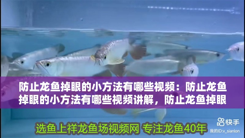 防止龍魚掉眼的小方法有哪些視頻：防止龍魚掉眼的小方法有哪些視頻講解，防止龍魚掉眼實用小方法視頻