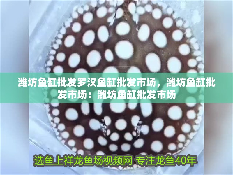 濰坊魚缸批發羅漢魚缸批發市場，濰坊魚缸批發市場：濰坊魚缸批發市場 濰坊魚缸批發羅漢魚缸批發市場，濰坊魚缸批發市場：濰坊魚缸批發市場 魚缸百科