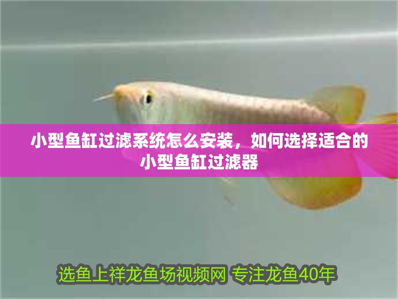 小型魚缸過濾系統怎么安裝，如何選擇適合的小型魚缸過濾器