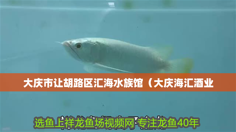 大慶市讓胡路區(qū)匯海水族館（大慶海匯酒業(yè)