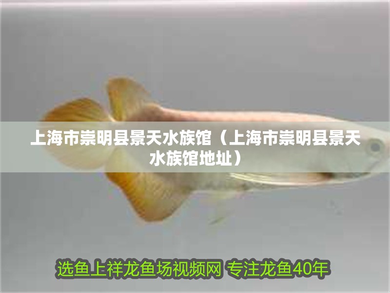 上海市崇明縣景天水族館（上海市崇明縣景天水族館地址） 上海市崇明縣景天水族館（上海市崇明縣景天水族館地址） 全國水族館企業名錄 第2張
