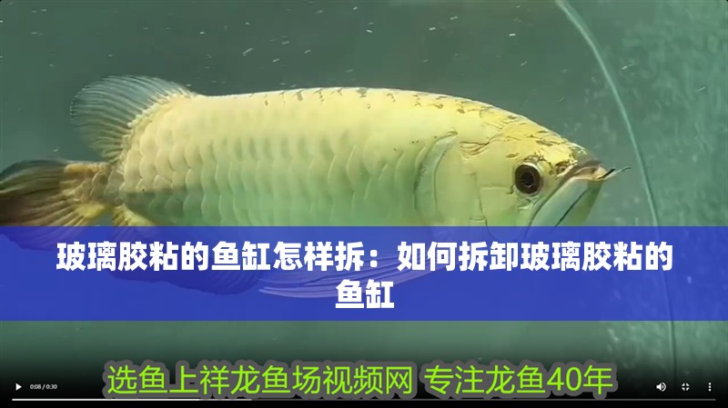 玻璃膠粘的魚缸怎樣拆：如何拆卸玻璃膠粘的魚缸