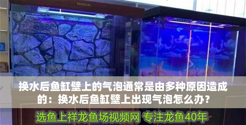 換水后魚缸壁上的氣泡通常是由多種原因造成的：換水后魚缸壁上出現氣泡怎么辦？