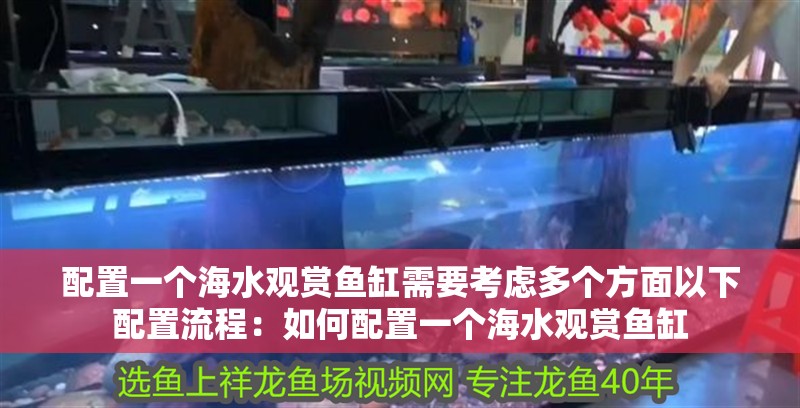 配置一個海水觀賞魚缸需要考慮多個方面以下配置流程：如何配置一個海水觀賞魚缸