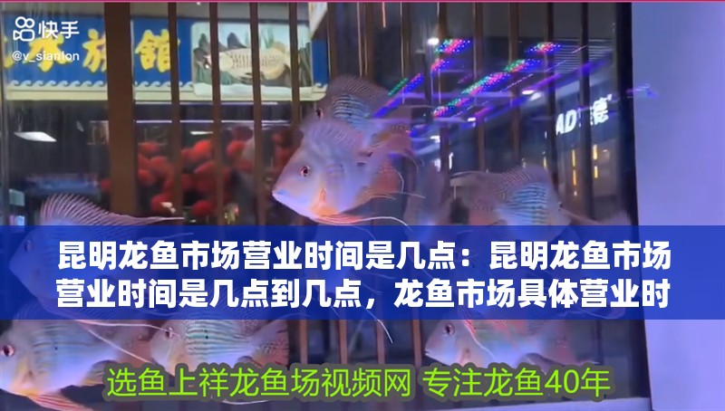 昆明龍魚市場營業時間是幾點：昆明龍魚市場營業時間是幾點到幾點，龍魚市場具體營業時間（幾點至
