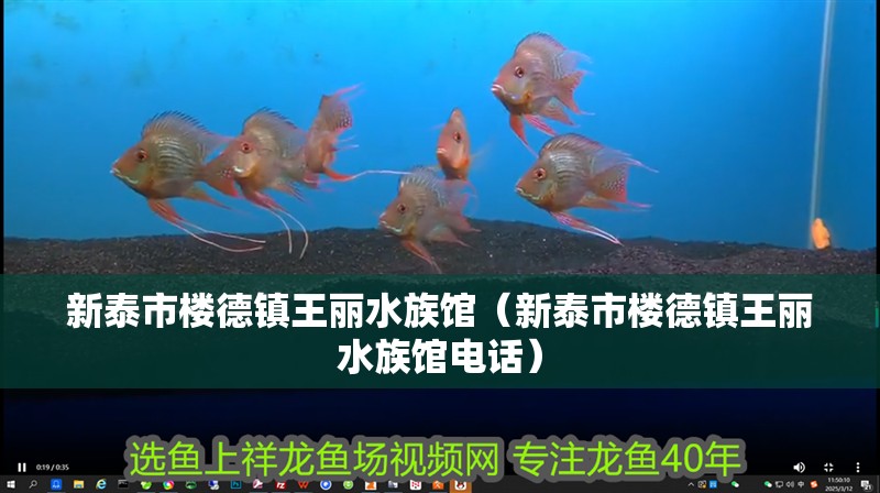 新泰市樓德鎮王麗水族館(新泰市樓德鎮王麗水族館電話) 全國水族館企業名錄 第2張 新泰市樓德鎮王麗水族館(新泰市樓德鎮王麗水族館電話) 新泰市樓德鎮王麗水族館(新泰市樓德鎮王麗水族館電話) 全國水族館企業名錄 第2張