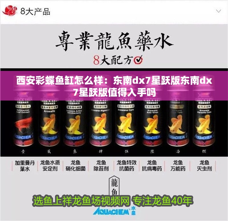 西安彩蝶魚缸怎么樣：東南dx7星躍版東南dx7星躍版值得入手嗎