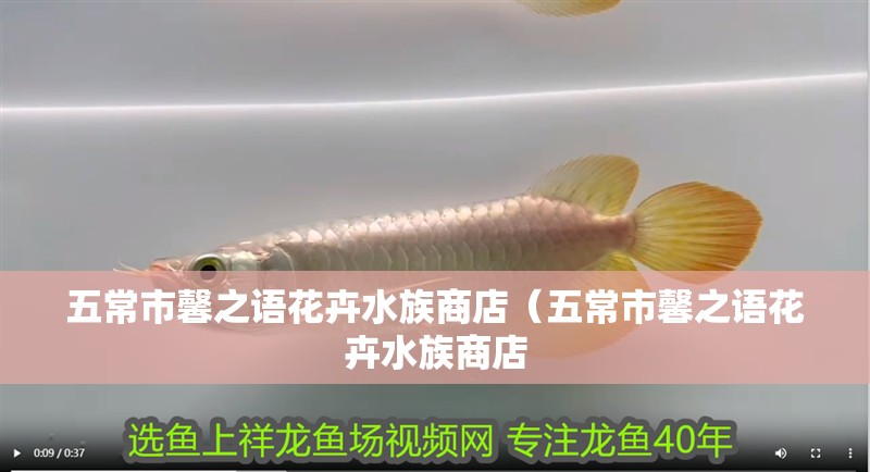 五常市馨之語花卉水族商店（五常市馨之語花卉水族商店