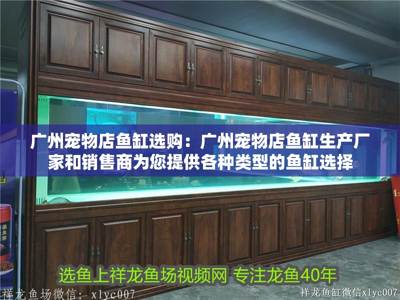 廣州寵物店魚缸選購：廣州寵物店魚缸生產(chǎn)廠家和銷售商為您提供各種類型的魚缸選擇