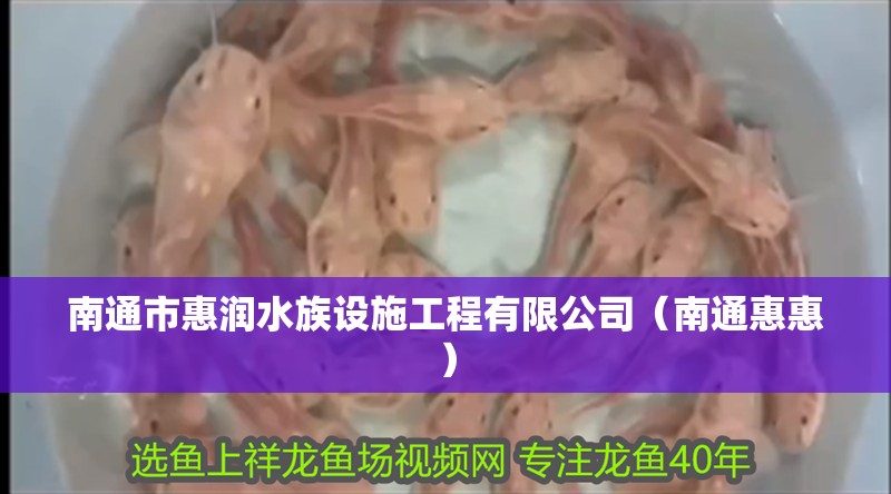 南通市惠潤水族設施工程有限公司（南通惠惠）