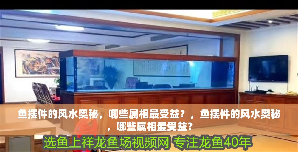 魚擺件的風水奧秘，哪些屬相最受益？，魚擺件的風水奧秘，哪些屬相最受益？