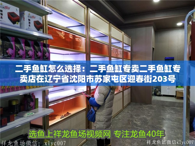 鸚鵡魚和銀龍魚混養怎樣喂食 二手魚缸怎么選擇:二手魚缸專賣二手魚缸專賣店在遼寧省沈陽市蘇家屯區迎春街203號 魚缸百科 二手魚缸怎么選擇:二手魚缸專賣二手魚缸專賣店在遼寧省沈陽市蘇家屯區迎春街203號 二手魚缸怎么選擇:二手魚缸專賣二手魚缸專賣店在遼寧省沈陽市蘇家屯區迎春街203號 魚缸百科