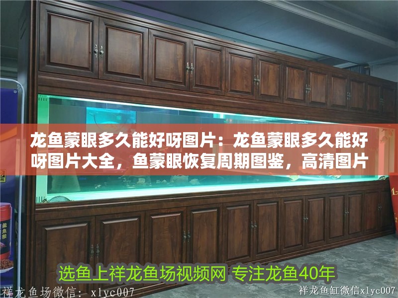 龍魚蒙眼多久能好呀圖片：龍魚蒙眼多久能好呀圖片大全，魚蒙眼恢復周期圖鑒，高清圖片大全解析治愈時長