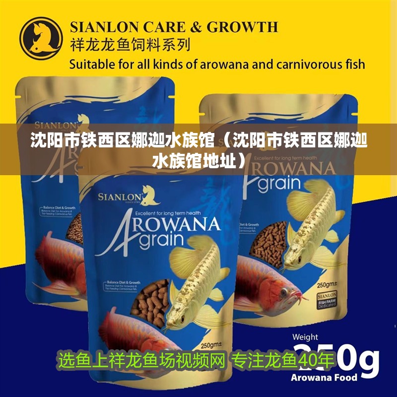 沈陽(yáng)市鐵西區(qū)娜迦水族館（沈陽(yáng)市鐵西區(qū)娜迦水族館地址） 沈陽(yáng)市鐵西區(qū)娜迦水族館（沈陽(yáng)市鐵西區(qū)娜迦水族館地址） 全國(guó)水族館企業(yè)名錄 第2張