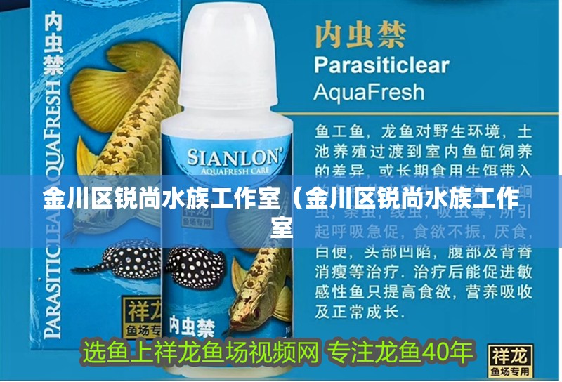 金川區(qū)銳尚水族工作室（金川區(qū)銳尚水族工作室