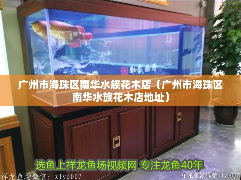 廣州市海珠區(qū)南華水族花木店(廣州市海珠區(qū)南華水族花木店地址) 全國水族館企業(yè)名錄 第2張 廣州市海珠區(qū)南華水族花木店(廣州市海珠區(qū)南華水族花木店地址) 廣州市海珠區(qū)南華水族花木店(廣州市海珠區(qū)南華水族花木店地址) 全國水族館企業(yè)名錄 第2張