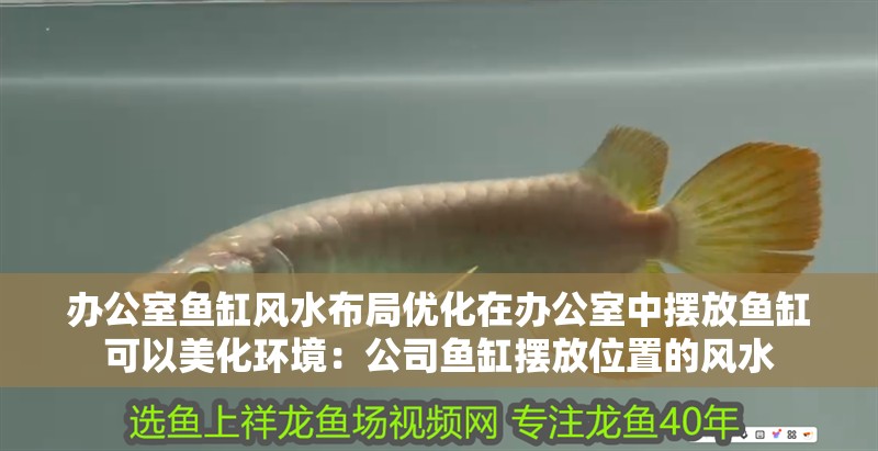 辦公室魚缸風水布局優(yōu)化在辦公室中擺放魚缸可以美化環(huán)境：公司魚缸擺放位置的風水 辦公室魚缸風水布局優(yōu)化在辦公室中擺放魚缸可以美化環(huán)境：公司魚缸擺放位置的風水 魚缸百科