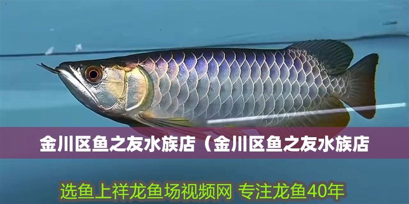 金川區(qū)魚之友水族店（金川區(qū)魚之友水族店