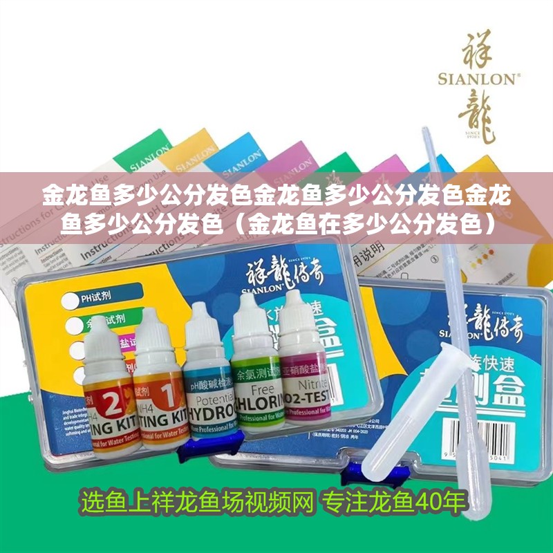 金龍魚多少公分發(fā)色金龍魚多少公分發(fā)色金龍魚多少公分發(fā)色（金龍魚在多少公分發(fā)色）