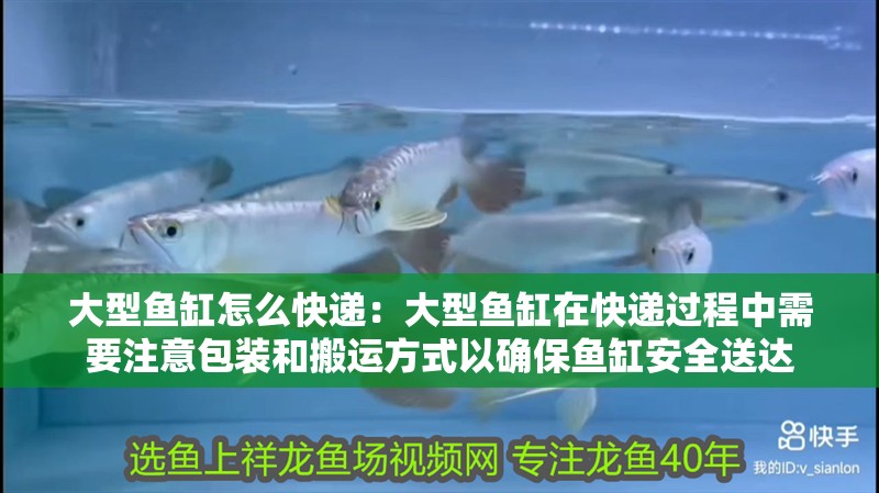 大型魚缸怎么快遞：大型魚缸在快遞過程中需要注意包裝和搬運方式以確保魚缸安全送達 大型魚缸怎么快遞：大型魚缸在快遞過程中需要注意包裝和搬運方式以確保魚缸安全送達 魚缸百科