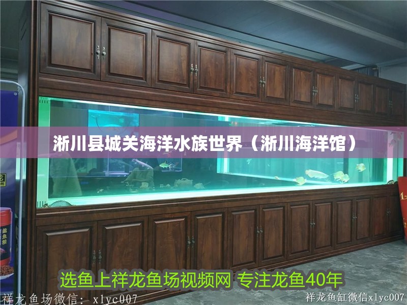 淅川縣城關海洋水族世界（淅川海洋館）