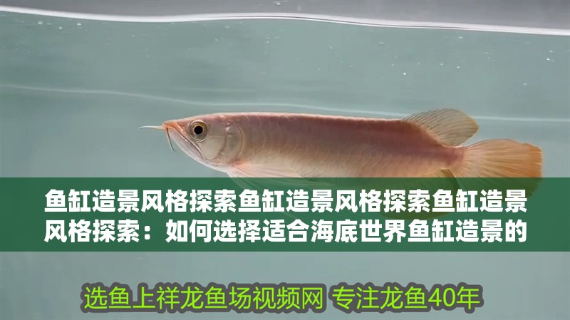 魚缸用增氧泵價格是多少:魚缸增氧機-xtrac增氧機-xtrac增氧機 魚缸造景風格探索魚缸造景風格探索魚缸造景風格探索:如何選擇適合海底世界魚缸造景的底砂 魚缸百科 魚缸造景風格探索魚缸造景風格探索魚缸造景風格探索:如何選擇適合海底世界魚缸造景的底砂 魚缸造景風格探索魚缸造景風格探索魚缸造景風格探索:如何選擇適合海底世界魚缸造景的底砂 魚缸百科