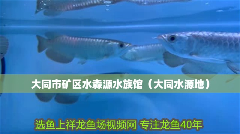大同市礦區(qū)水森源水族館（大同水源地）