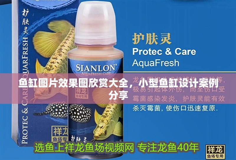 魚缸圖片效果圖欣賞大全，小型魚缸設計案例分享