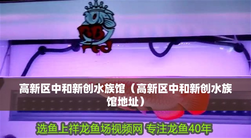 高新區中和新創水族館（高新區中和新創水族館地址）