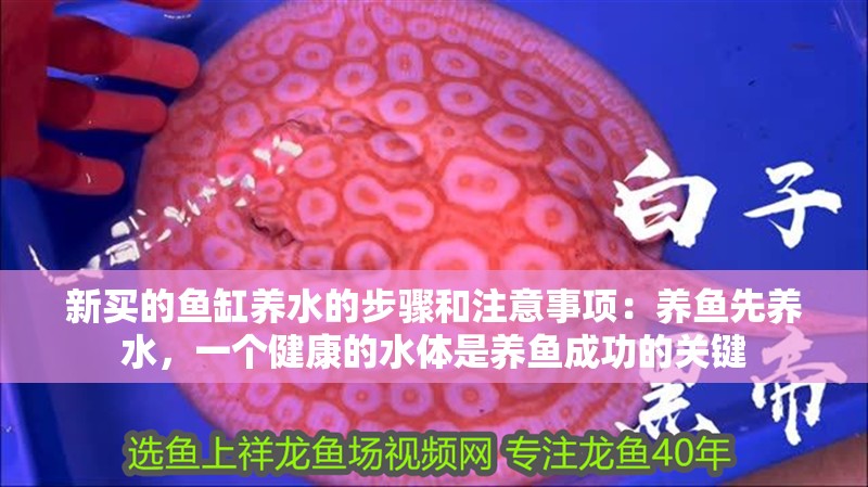 新買的魚缸養(yǎng)水的步驟和注意事項(xiàng)：養(yǎng)魚先養(yǎng)水，一個(gè)健康的水體是養(yǎng)魚成功的關(guān)鍵