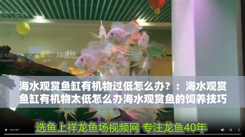 魚缸過濾器選購指南:自制魚缸過濾器魚缸上置過濾器對于養(yǎng)魚愛好者的必備知識 海水觀賞魚缸有機(jī)物過低怎么辦?:海水觀賞魚缸有機(jī)物太低怎么辦海水觀賞魚的飼養(yǎng)技巧 魚缸百科 海水觀賞魚缸有機(jī)物過低怎么辦?:海水觀賞魚缸有機(jī)物太低怎么辦海水觀賞魚的飼養(yǎng)技巧 海水觀賞魚缸有機(jī)物過低怎么辦?:海水觀賞魚缸有機(jī)物太低怎么辦海水觀賞魚的飼養(yǎng)技巧 魚缸百科