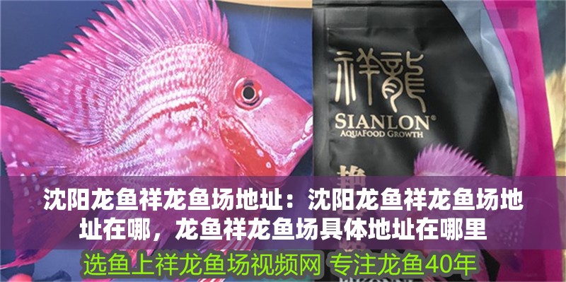 沈陽龍魚祥龍魚場地址：沈陽龍魚祥龍魚場地址在哪，龍魚祥龍魚場具體地址在哪里