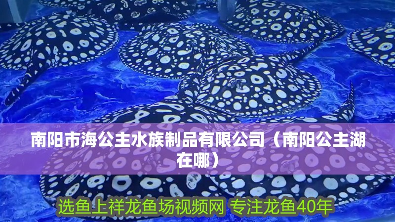 南陽市海公主水族制品有限公司（南陽公主湖在哪）
