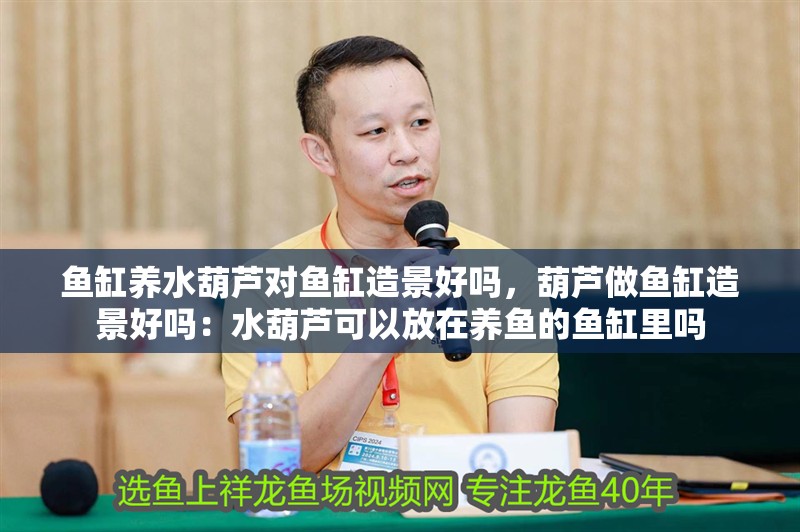魚缸養水葫蘆對魚缸造景好嗎，葫蘆做魚缸造景好嗎：水葫蘆可以放在養魚的魚缸里嗎