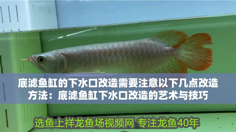 底濾魚缸的下水口改造需要注意以下幾點改造方法：底濾魚缸下水口改造的藝術與技巧