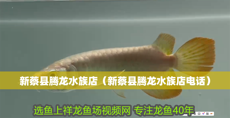 新蔡縣騰龍水族店（新蔡縣騰龍水族店電話）