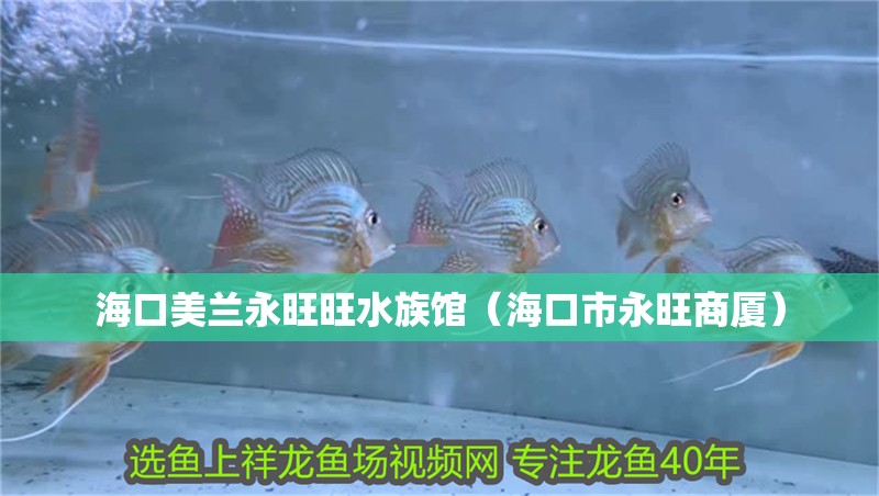 ?？诿捞m永旺旺水族館（海口市永旺商廈）