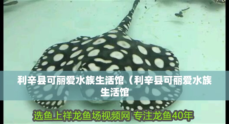 利辛縣可麗愛水族生活館（利辛縣可麗愛水族生活館