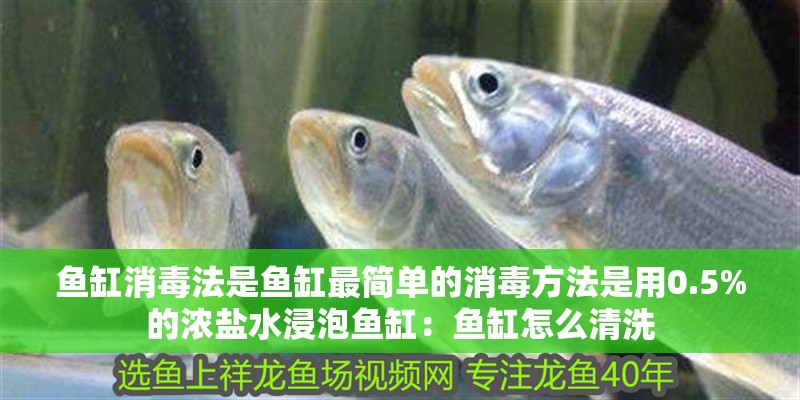 魚缸消毒法是魚缸最簡單的消毒方法是用0.5%的濃鹽水浸泡魚缸：魚缸怎么清洗