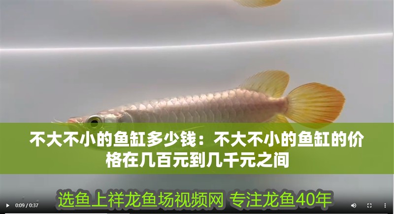 不大不小的魚缸多少錢：不大不小的魚缸的價格在幾百元到幾千元之間 不大不小的魚缸多少錢：不大不小的魚缸的價格在幾百元到幾千元之間 魚缸百科