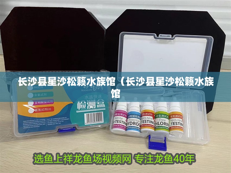 長沙縣星沙松籟水族館（長沙縣星沙松籟水族館