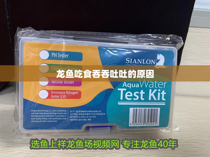 龍魚吃食吞吞吐吐的原因 龍魚百科 龍魚吃食吞吞吐吐的原因 龍魚吃食吞吞吐吐的原因 龍魚百科