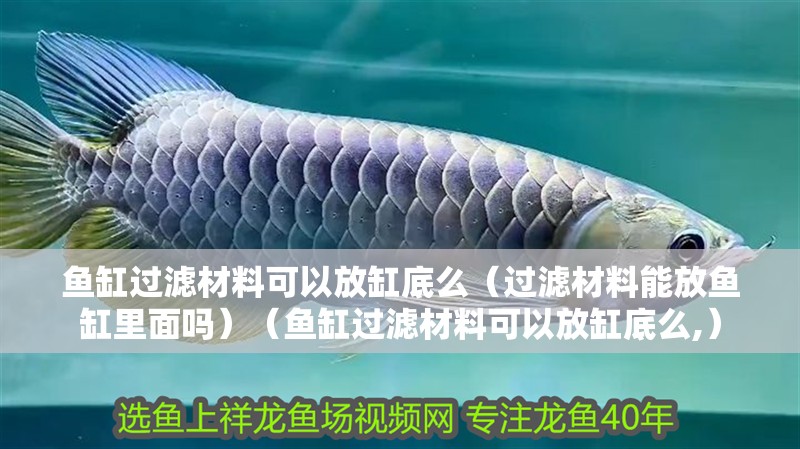 魚缸過濾材料可以放缸底么（過濾材料能放魚缸里面嗎）（魚缸過濾材料可以放缸底么,）