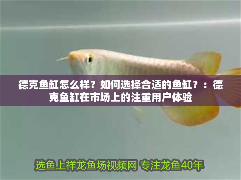 德克魚缸怎么樣？如何選擇合適的魚缸？：德克魚缸在市場上的注重用戶體驗 德克魚缸怎么樣？如何選擇合適的魚缸？：德克魚缸在市場上的注重用戶體驗 魚缸百科