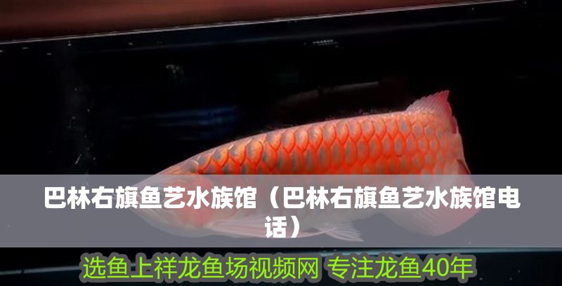 巴林右旗魚藝水族館(巴林右旗魚藝水族館電話) 全國水族館企業名錄 第2張 巴林右旗魚藝水族館(巴林右旗魚藝水族館電話) 巴林右旗魚藝水族館(巴林右旗魚藝水族館電話) 全國水族館企業名錄 第2張