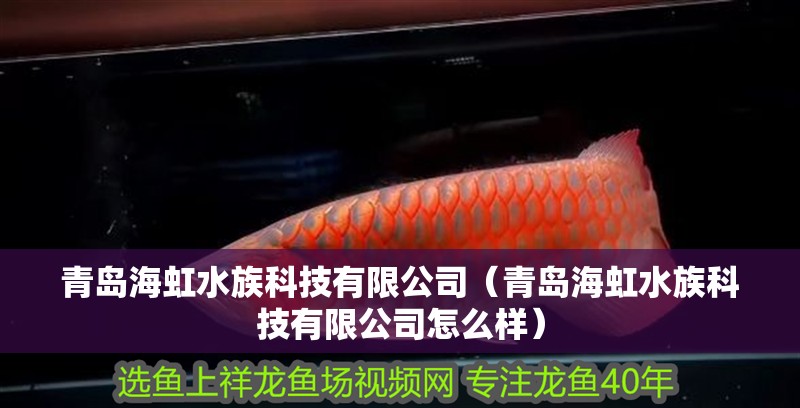 青島海虹水族科技有限公司（青島海虹水族科技有限公司怎么樣） 青島海虹水族科技有限公司（青島海虹水族科技有限公司怎么樣） 全國水族館企業(yè)名錄 第2張