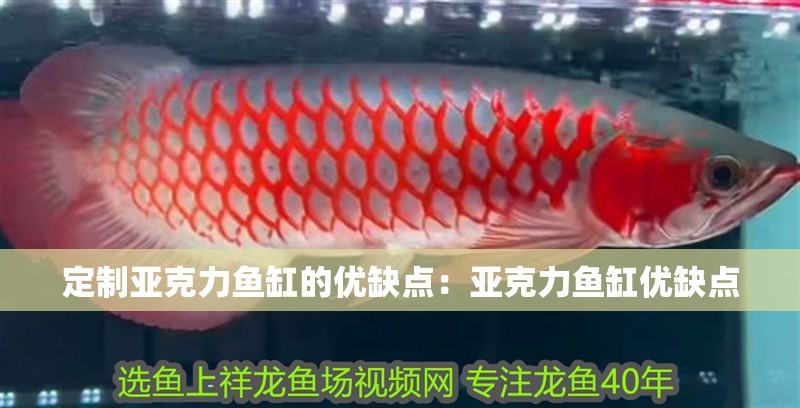 定制亞克力魚缸的優(yōu)缺點(diǎn)：亞克力魚缸優(yōu)缺點(diǎn) 定制亞克力魚缸的優(yōu)缺點(diǎn)：亞克力魚缸優(yōu)缺點(diǎn) 魚缸百科