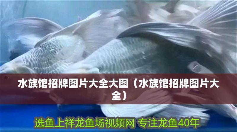 水族館招牌圖片大全大圖（水族館招牌圖片大全） 水族館招牌圖片大全大圖（水族館招牌圖片大全） 水族館百科（水族館加盟） 第1張