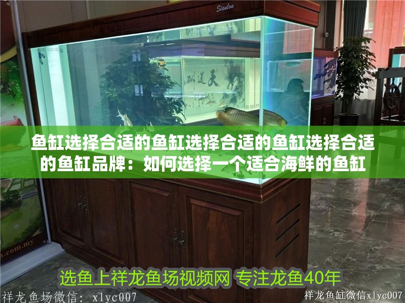 魚缸選擇合適的魚缸選擇合適的魚缸選擇合適的魚缸品牌：如何選擇一個適合海鮮的魚缸