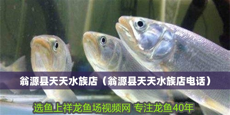 翁源縣天天水族店（翁源縣天天水族店電話） 翁源縣天天水族店（翁源縣天天水族店電話） 全國水族館企業名錄 第2張